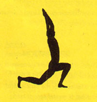 Aikido, Yoga, Stretching au dojo des arts - Pau (64)